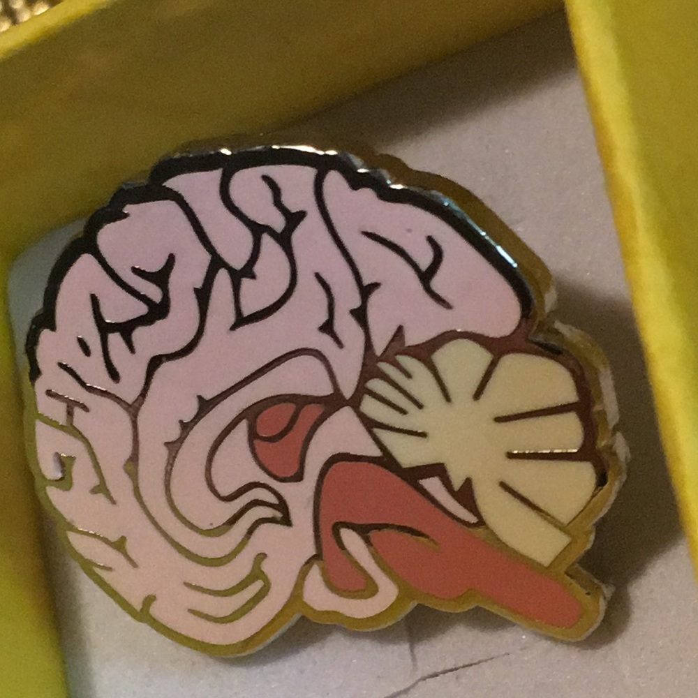 Anatomical brain enamel & gold metal pin NWB